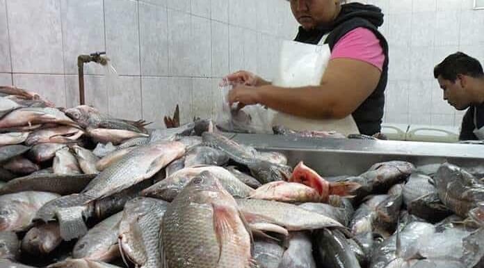 Inicia operativo de cuaresma en Guanajuato