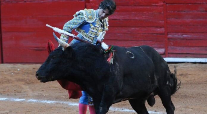 Niegan suspensión definitiva contra corridas de toros; Plaza México mantendrá espectáculo taurino