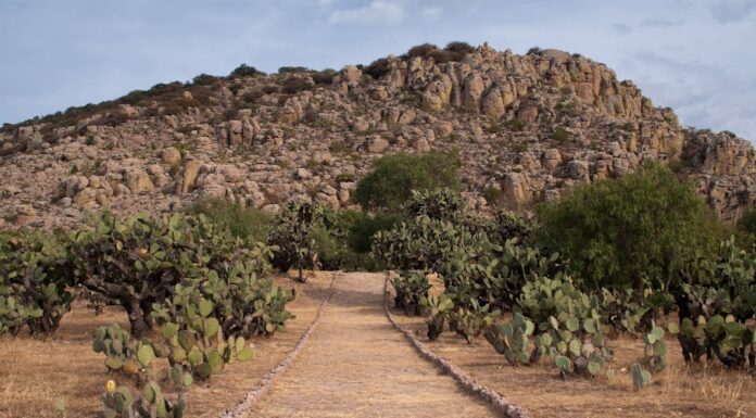 Abre Ocampo sus puertas para recibir al Equinoccio chichimeca