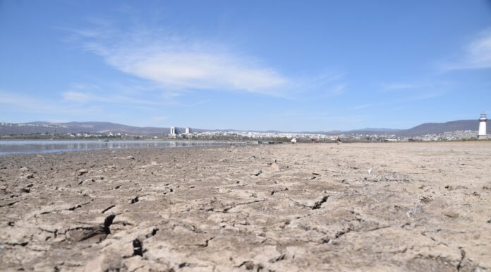 Municipio ha sido omiso en proteger al agua: ONG’s