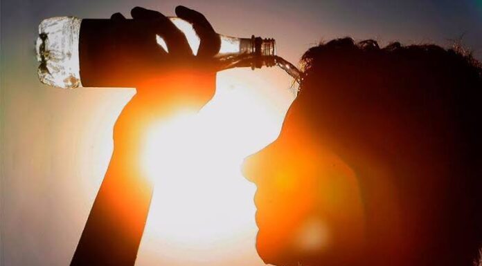 Guanajuato ya reporta casos de golpe de calor