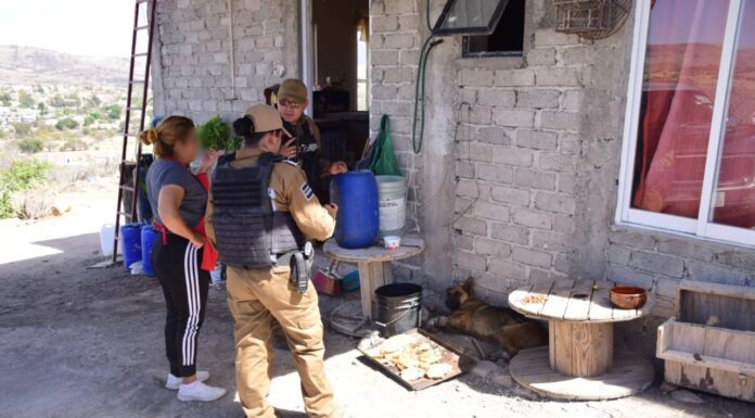 Rescata policía ambiental de la capital a Coqueta