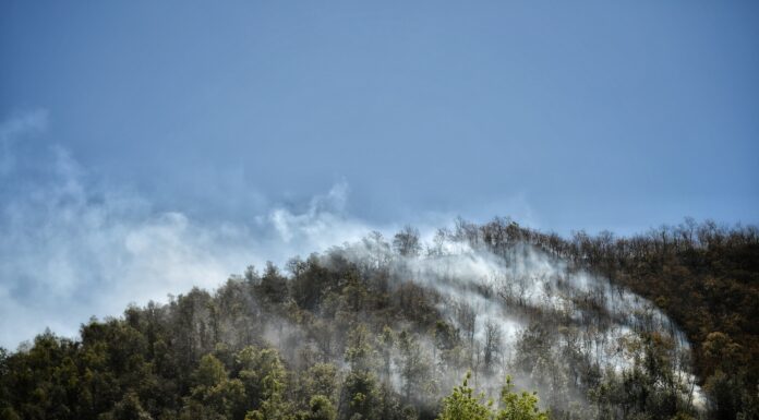 Más de 1,500 hectáreas consumidas por el fuego en Sierra de Santa Rosa