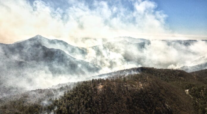 Fuego ha consumido 300 hectáreas de sierra en Santa Rosa