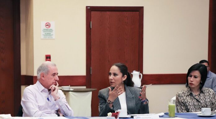 Agua para Guanajuato, un tema prioritario en mi gobierno: Libia Dennise