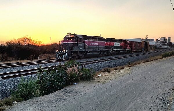 León aportaría el mayor flujo a tren interurbano: Libia Dennise