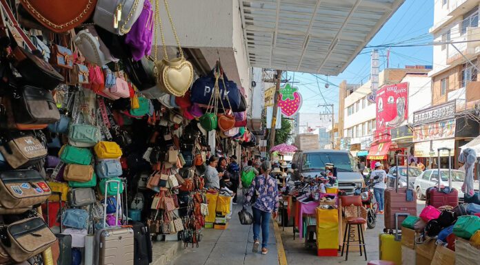 Comerciantes de origen Chino acaparan zona piel de León: CANACO