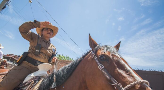 Redoblará vigilancia policía montada en la capital