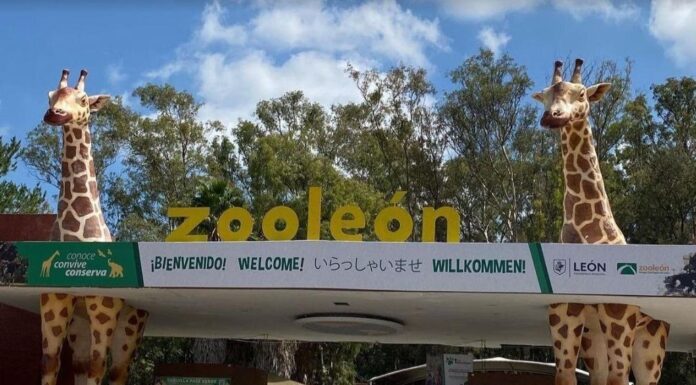 Lugares de recreación son sitios para mujeres seguras en León