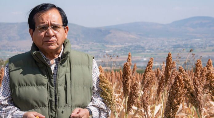 Va ex rector de UG con Morena por alcaldía de Celaya