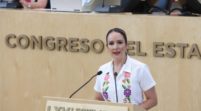 Ciudadanía quieren de regreso estancias infantiles: Margarita Rionda