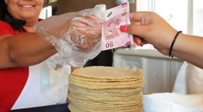 Extorsiones y cobro de piso afectan a tortilleros en Guanajuato