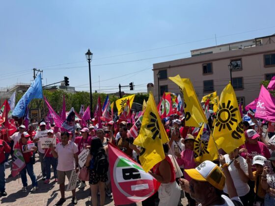 Así vivieron en varias ciudades la Marea rosa