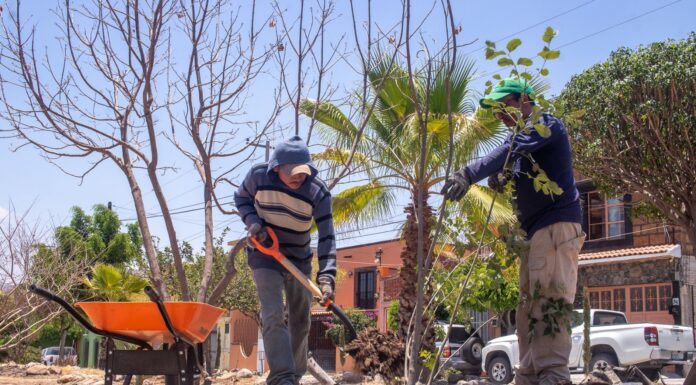 Realizan en San Miguel de Allende jornadas por el medio ambiente