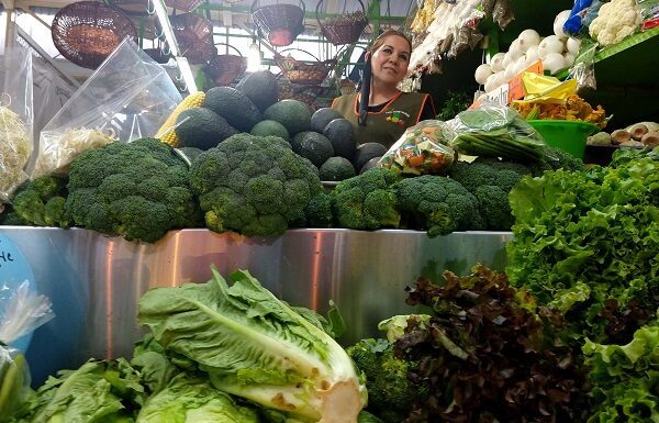 Guanajuato fortalece su producción de hortalizas