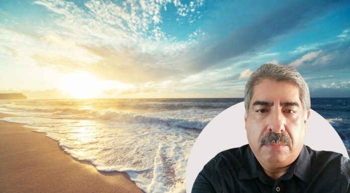 Experiencia y gratitud