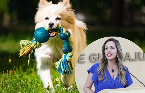 Melanie Murillo pide fortalecer la protección animal