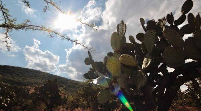En Salamanca hacen un llamado urgente por el medio ambiente