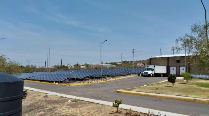 Rastro municipal de Salamanca, el mejor del país