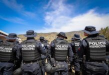 Detienen al agresor de niña en Saucillos de las Joyas