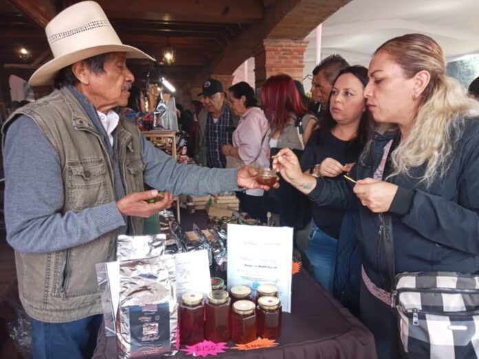Aspecto Festival Tepotzotlán 5