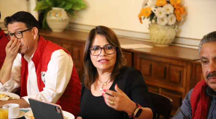 Enfrenta PRI renovación de dirigencia con autocrítica: Ruth Tiscareño
