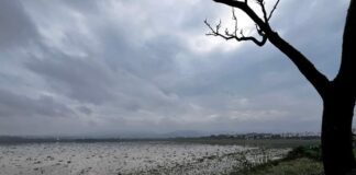Gota a gota se recupera la Presa El Palote tras últimas lluvias