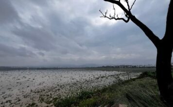Gota a gota se recupera la Presa El Palote tras últimas lluvias