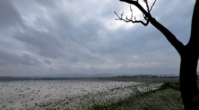 Lluvias traen esperanza de recuperación para presa El Palote