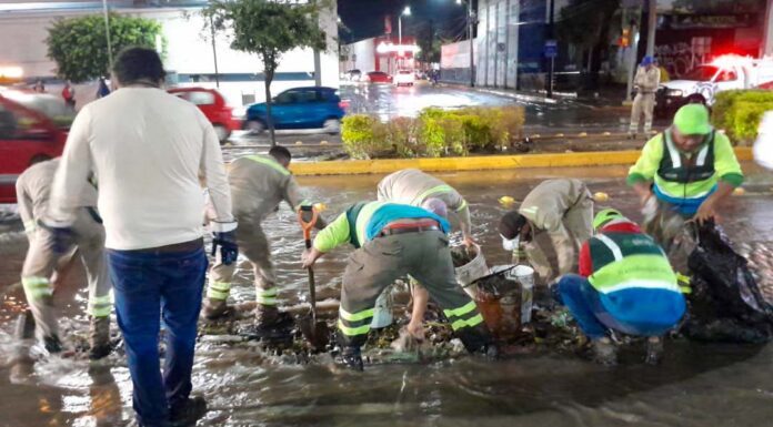 SIAP emprende campaña para evitar tirar basura en las calles