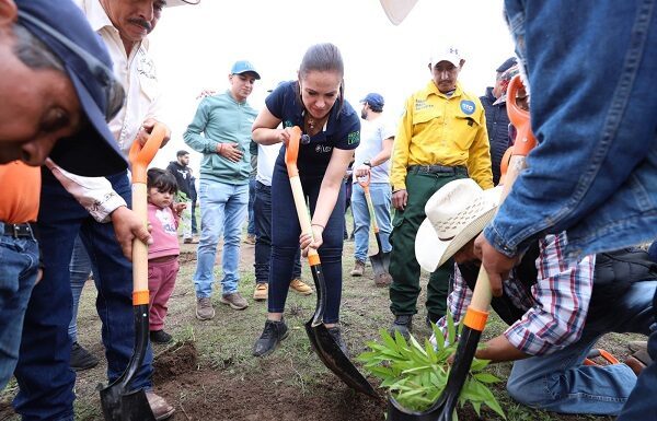 Encabeza Ale Gutiérrez reforestación masiva en Sierra de Lobos