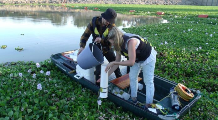 Académica de la UG investiga preservación de cuerpos de agua