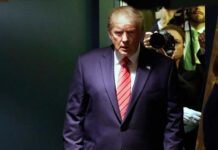 Nos guste o no los cárteles dirigen México: Donald Trump