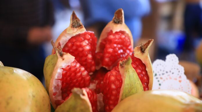 Guanajuato es tercer lugar en producción de granada