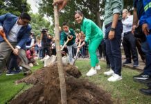 Impulsa León la reforestación del territorio