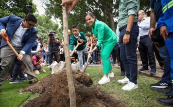Impulsa León la reforestación del territorio