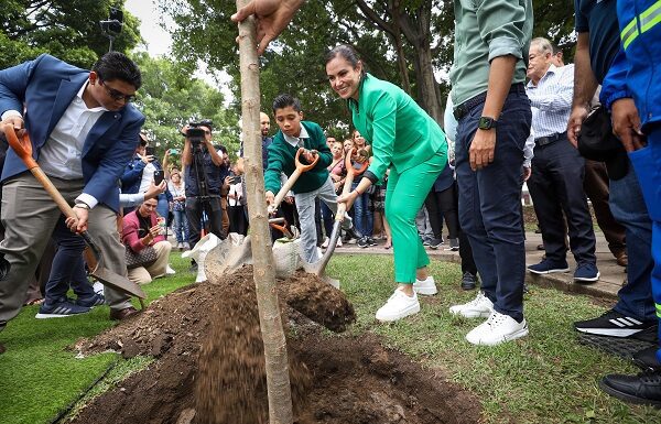 Presenta Ale Gutiérrez estrategia para tener un León con más árboles