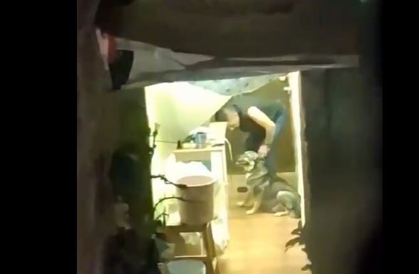 Denuncia activista agresión animal; municipio actúa (VIDEO)