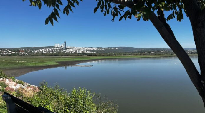 El Palote, presa con menor captación en Guanajuato en temporada de lluvias