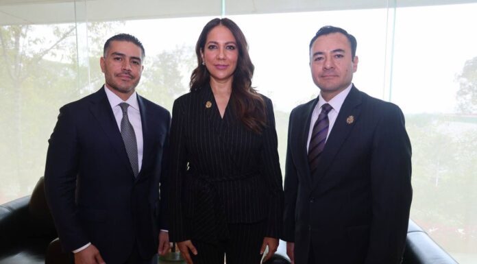 Trabajo de inteligencia coordinado para combiatir al crimen: Libia Dennise