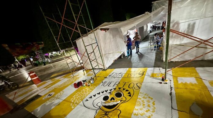 Alistan paso peatonal temático en Silao