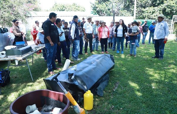 Guanajuato podría ser primer productor de leche de cabra nacional