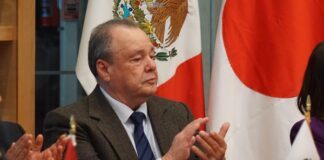 La renuncia de Ale Gutiérrez es la caída nacional del PAN: David Martínez