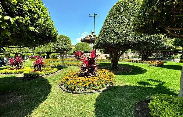 Adornan León con miles de flores de cempasúchil