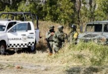 Colectivo de búsqueda hace pausa ante violencia en el país