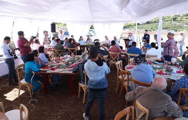 Nace la Asociación de Productores de Pitahaya en Guanajuato