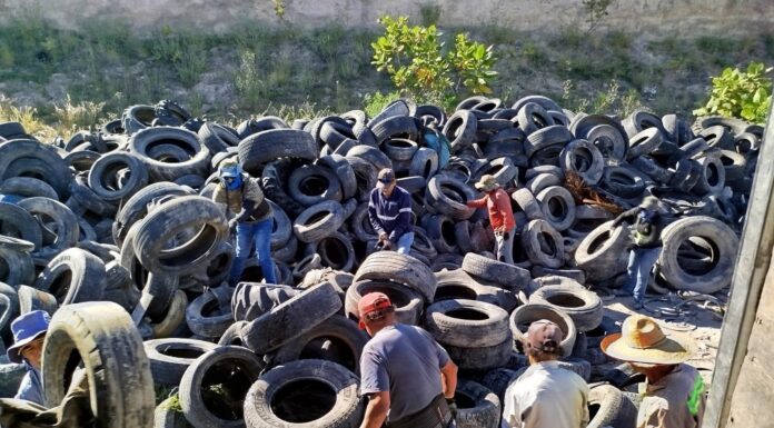 Ponen en marcha en Purísima programa “Tira tus Llantas” para evitar dengue