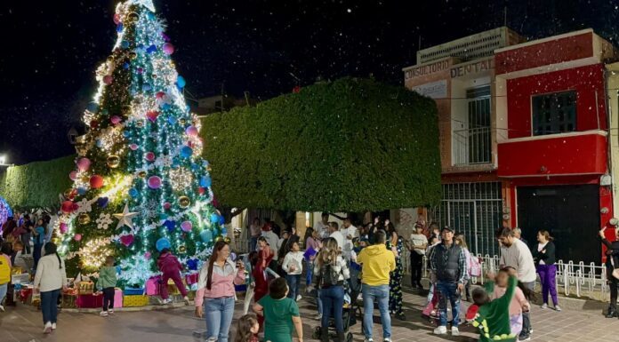 Disfrutan familias de Silao de la nevada en el centro histórico