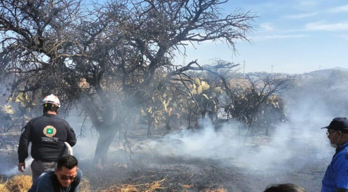 Sofocan incendio de pastizal en San Miguel de Allende