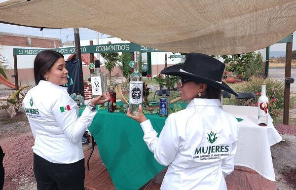 Conforman Asociación de Mujeres del Mezcal y del Agave en Guanajuato